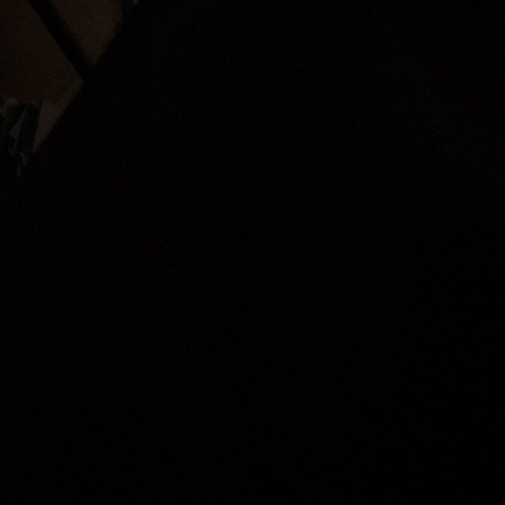 Meet your Posher, Sylvia